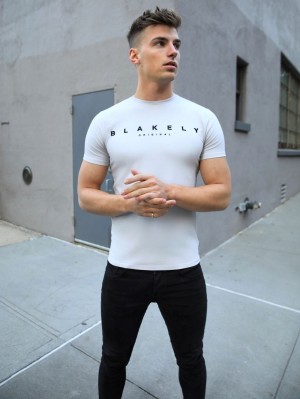 Blakely Element T-Shirt Stone | 2914UOWJL