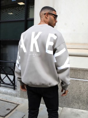Blakely Idris Oversized Jumper Grau | 2684HETVU