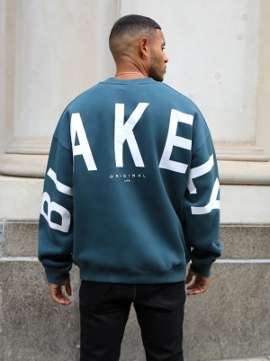 Blakely Idris Oversized Jumper Grün | 0495HOLQS