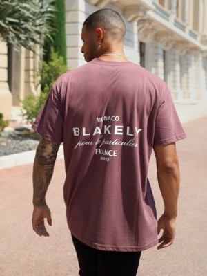 Blakely Monaco Relaxed T-Shirt Bordeaux | 4392LOTCE