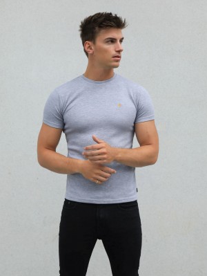 Blakely Recco T-Shirt Grau | 6518AHKWL