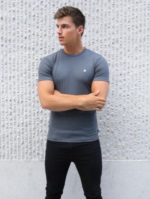 Blakely Torbora T-Shirt Grau | 3185NZEQD